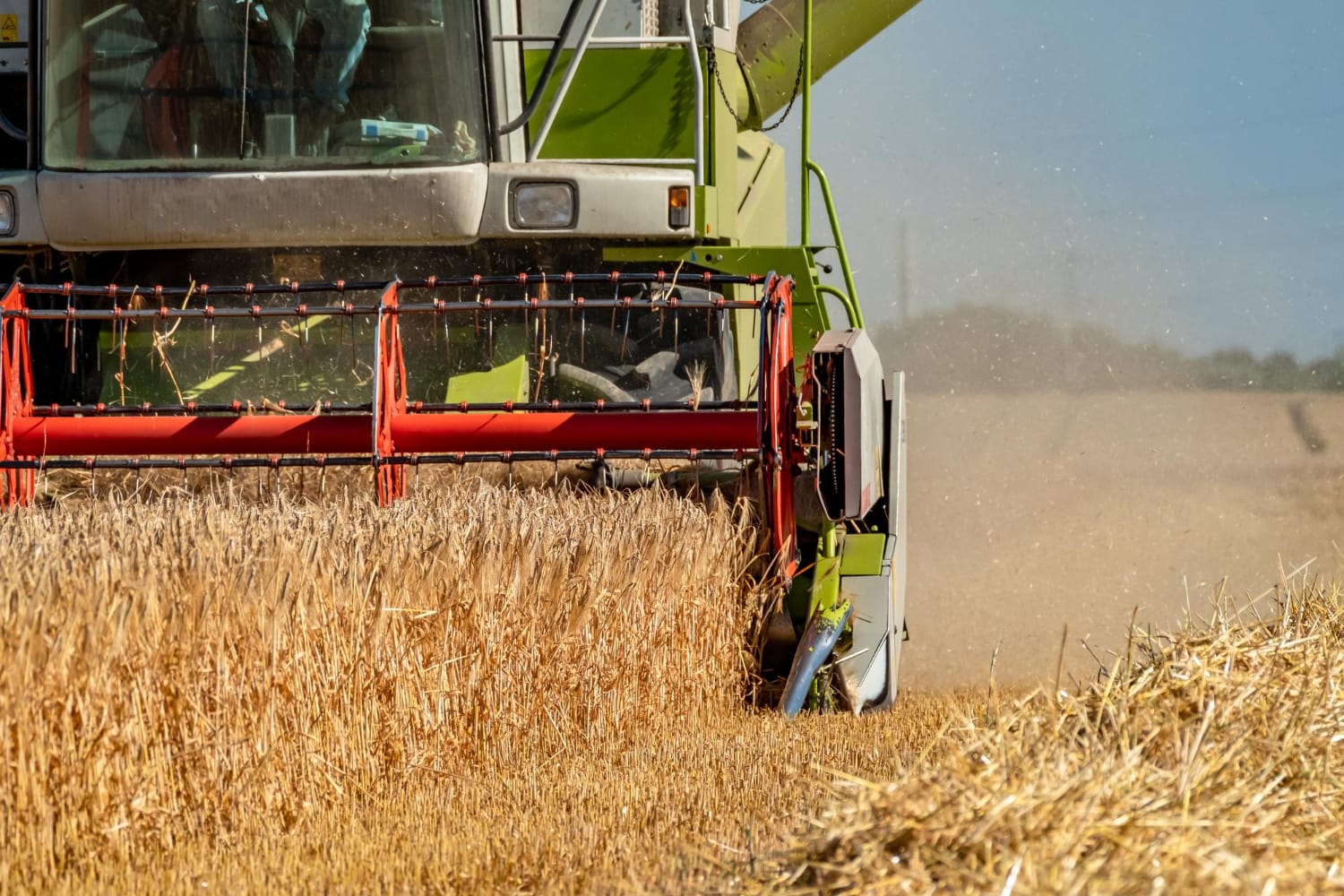 קלטרת רגליים כבדות