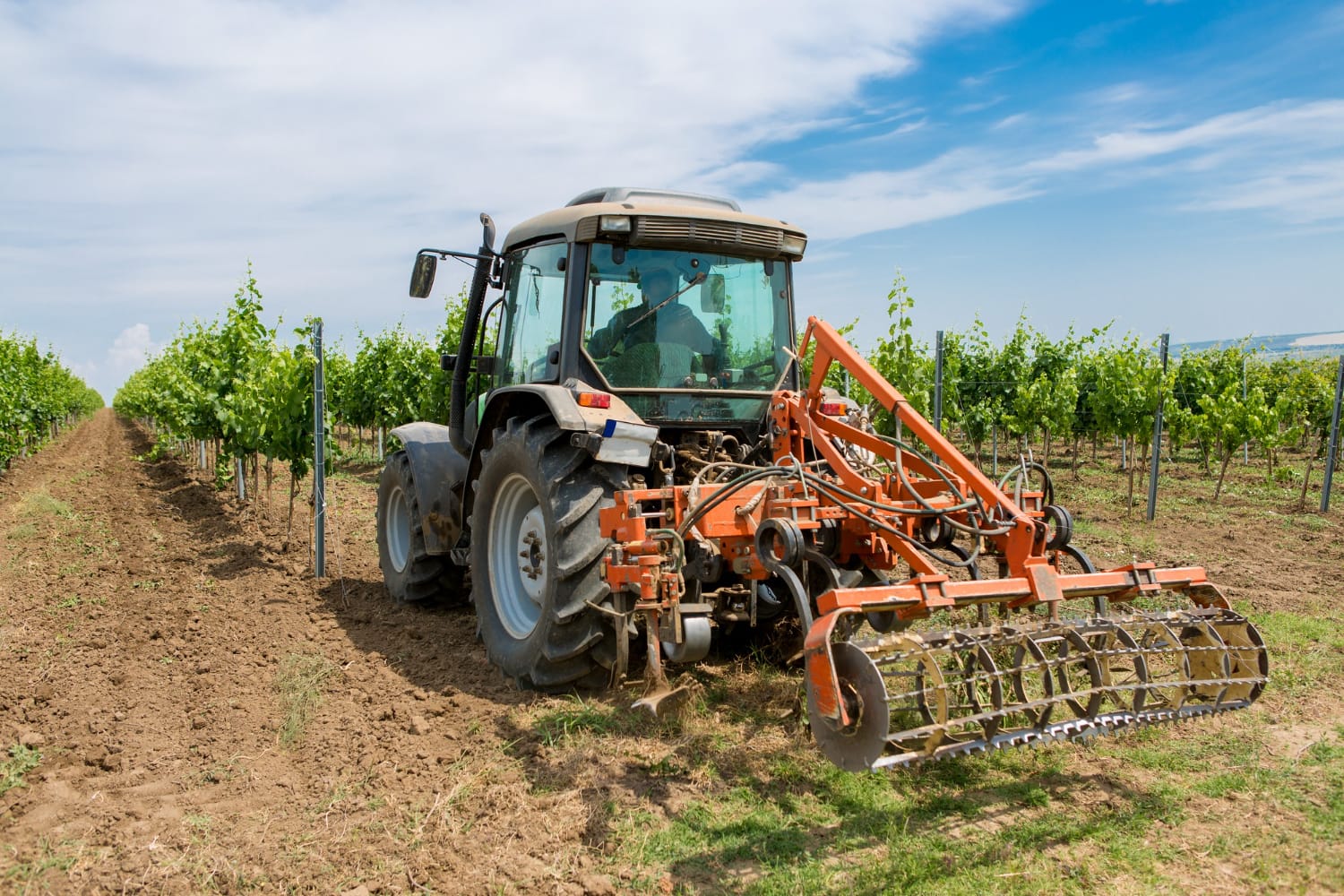 ציוד ייעודי למטעים