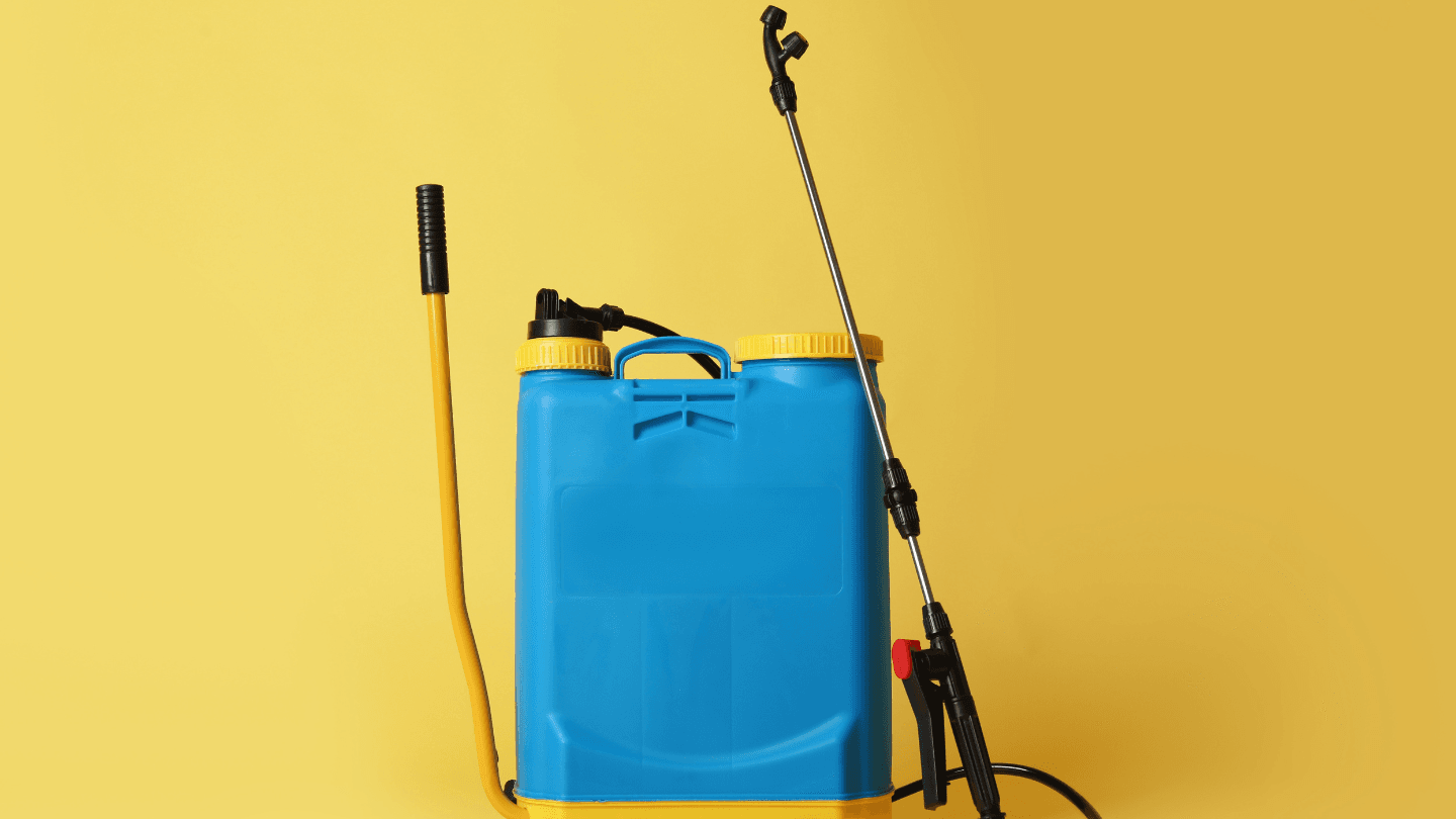 ריסוס והשקיה