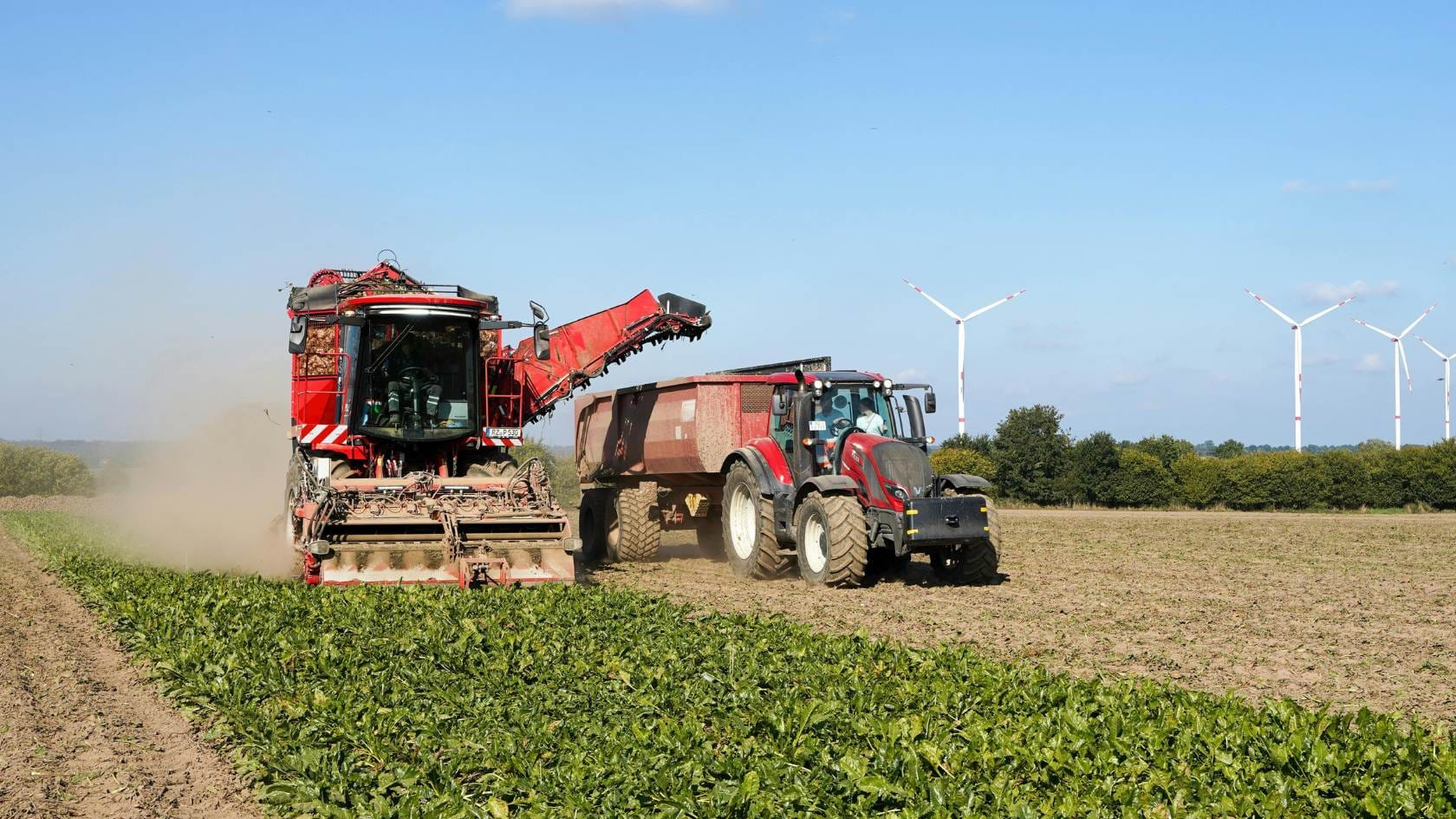 כלי עבודה חקלאי